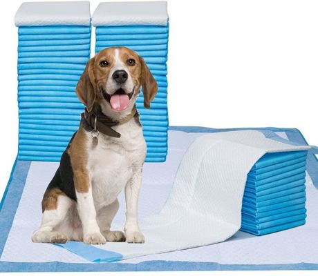 satın al Süper emici SAP malzemesi, sızıntı geçirmez PE desteği ve köpekler ve kediler için hızlı kuru yüzeyli 5 katlı evcil hayvan eğitimi yastığı çevrimiçi üretim