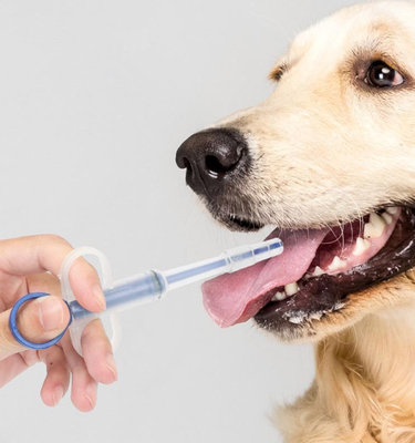 İyi fiyat Feeding Tube Pet Dog Cat Pill Gun Medicine Syringe Feeding Kit Durable Plastic çevrimiçi