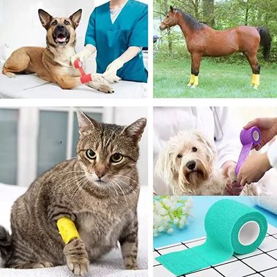 satın al Tıbbi Dereceli Elastik Veteriner Sargı Koheziv Bandaj Steril olmayan I Sınıf Cihaz Kendiliğinden Yapışkan Esnek Sargı Köpek Kedisi Yara Bakımı ve Ortak Destek çevrimiçi üretim