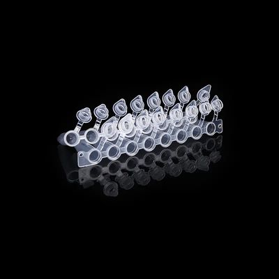 İyi fiyat Kubbe Şekilli Kapaklar 0.2ml PCR Tüpü Ekli Kapaklı 8 Şerit PCR Sekiz Bağlantılı Boru çevrimiçi