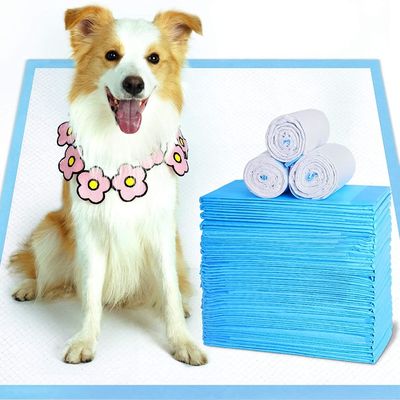 İyi fiyat Keten Koruyucular Hastane Tek Kullanımlık Köpek Pedleri 45*50cm Tek Kullanımlık Alt Ped çevrimiçi