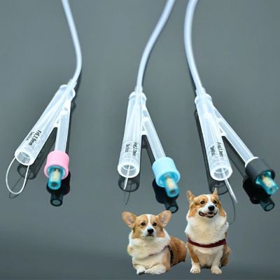 İyi fiyat Veterinerlik Köpek İdrar Kateterleri Yüksek Kaliteli PVC/Silikon Malzemesi, Evcil hayvan bakımı için kalıcı çözümler çevrimiçi