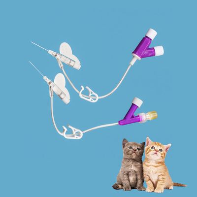 İyi fiyat I.v. Kanül Fiyatı 14g 16g 18g 20g 22g 24g 26g Kedi ve Köpek için IV Kateter Y-tipi Daha İyi Fiksasyon çevrimiçi
