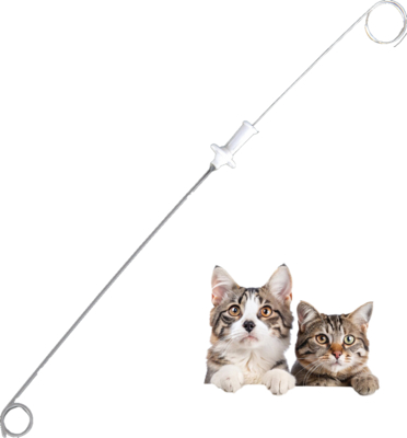 İyi fiyat Emilebilir Tıbbi Dikiş Hayvan İdrar Stent Kateteri, Kılavuz Tel Dikiş Plakası ile, Uygun Köpekler Kediler 3Fr 4Fr, Renal, Böbrek Veteriner, PU Malzeme çevrimiçi