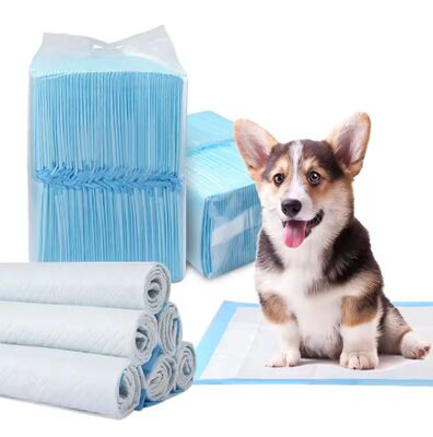 İyi fiyat 5-Ply Süper Absorbent Pet Eğitim Yastığı - SAP ve Sızıntı-Kanıtlı PE Arka Sayfa ile Fabrika Toptan Yüksek Absorbency Puppy Pee Yastığı çevrimiçi
